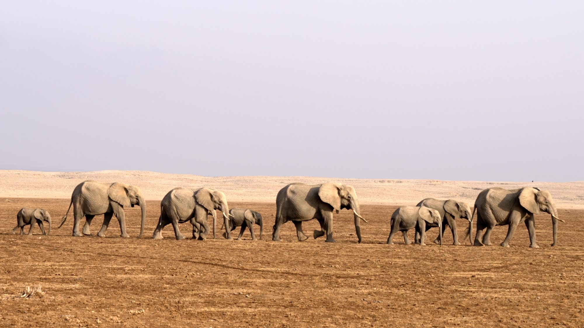 Amboseli Adventure